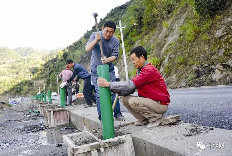 十竹路最新动态，探索未来，新生机焕发之路